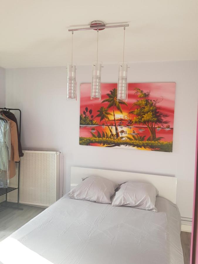 Chambres A Louer Dans Appartement Balcon - Wifi - Parking Gratuit Nevers Exterior foto